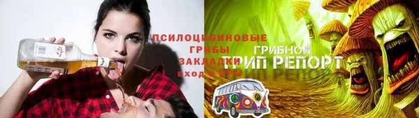 сатива Балахна