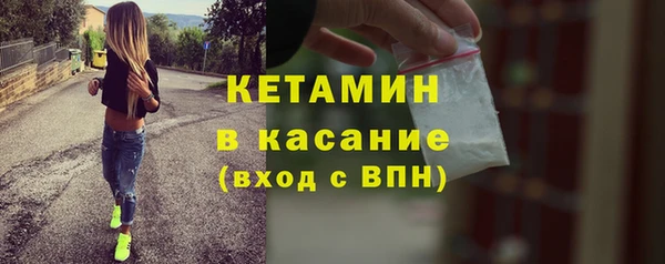сатива Балахна