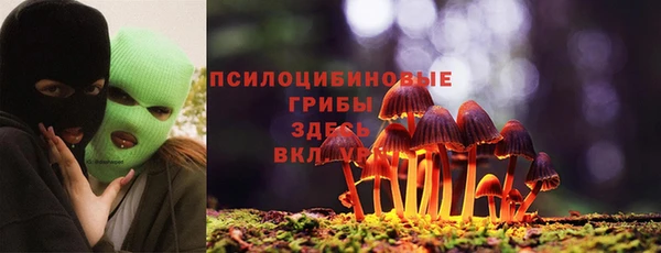 гашик Баксан