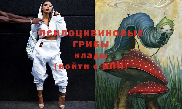 сатива Балахна