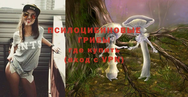 гашик Баксан