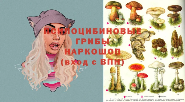 сатива Балахна