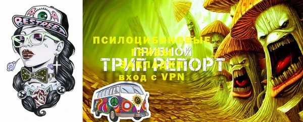 сатива Балахна