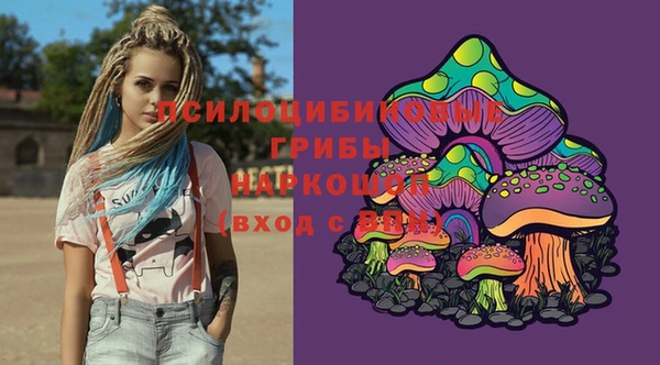 гашик Баксан