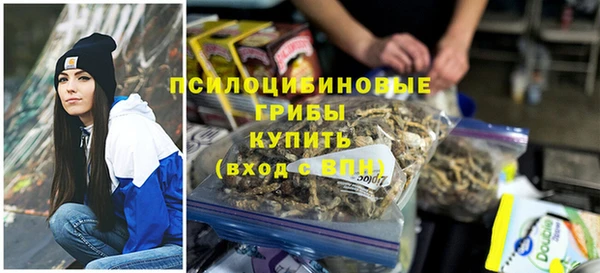 гашик Баксан