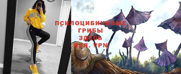 дмт Балабаново
